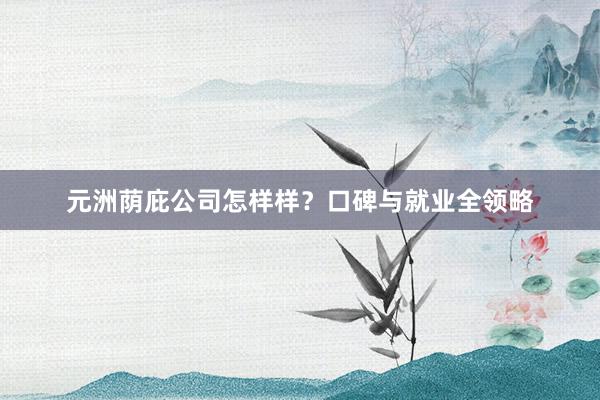 元洲荫庇公司怎样样？口碑与就业全领略