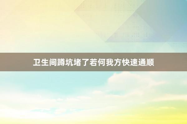 卫生间蹲坑堵了若何我方快速通顺