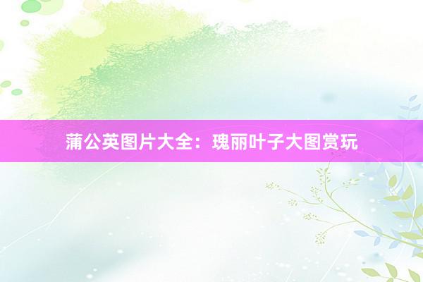 蒲公英图片大全：瑰丽叶子大图赏玩