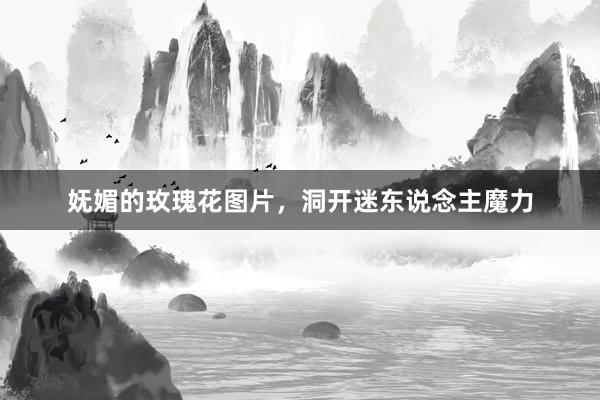 妩媚的玫瑰花图片,洞开迷东说念主魔力